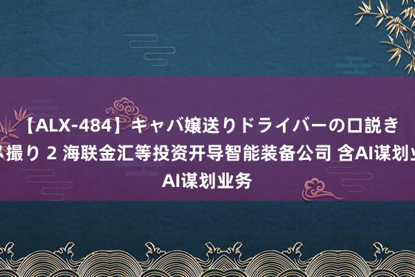 【ALX-484】キャバ嬢送りドライバーの口説きハメ撮り 2 海联金汇等投资开导智能装备公司 含AI谋划业务