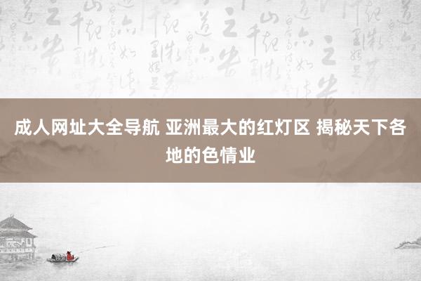 成人网址大全导航 亚洲最大的红灯区 揭秘天下各地的色情业