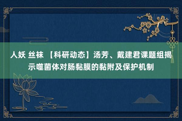 人妖 丝袜 【科研动态】汤芳、戴建君课题组揭示噬菌体对肠黏膜的黏附及保护机制