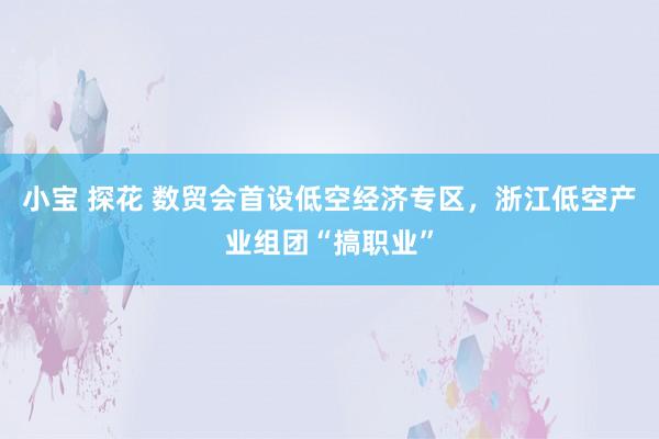 小宝 探花 数贸会首设低空经济专区，浙江低空产业组团“搞职业”